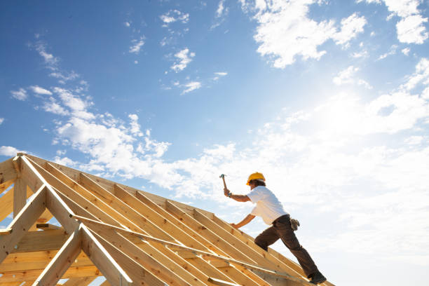 Best Roof Moss and Algae Removal  in Pion Hills, CA